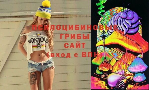 соль ск Арсеньев