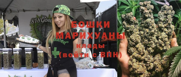 соль ск Арсеньев