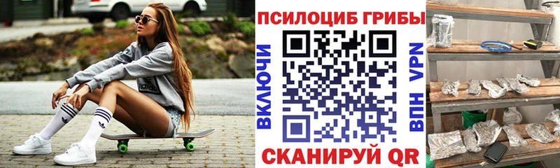 где продают наркотики гидра сайт Галлюциногенные грибы Magic Shrooms Ковылкино